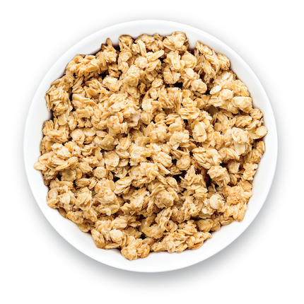 ReadyWise Emergency Food Favorite - Crunchy Granola (5 x 4 Serving Pouches)